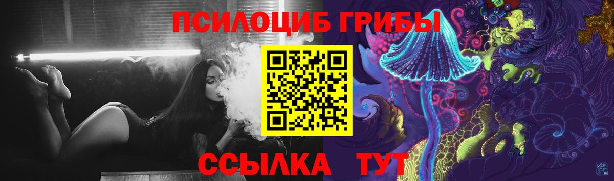 Галлюциногенные грибы Magic Shrooms  Псилоцибиновые грибы мицелий  Выкса  закладки  Вход с VPN 